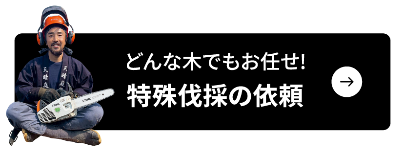どんな木でもお任せ！特殊伐採の依頼